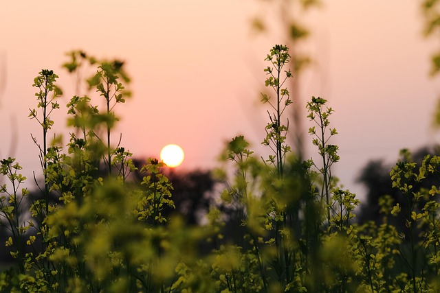 Bitcoin and Ethereum Price Analysis: ETH Price Targets After Crash - BITCOIN 이미지 3