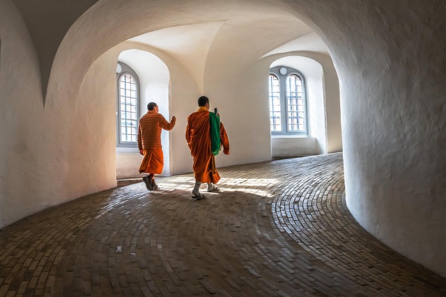 Copenhagen Living Guide: Growing Up in Denmark's Capital City Copenhagen Living Guide: Growing Up in Denmark's Capital City - Whats 이미지 2