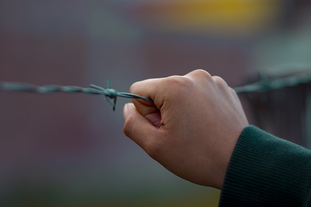 Fiscal Policy vs Monetary Policy: Key Differences Explained - The 이미지 5