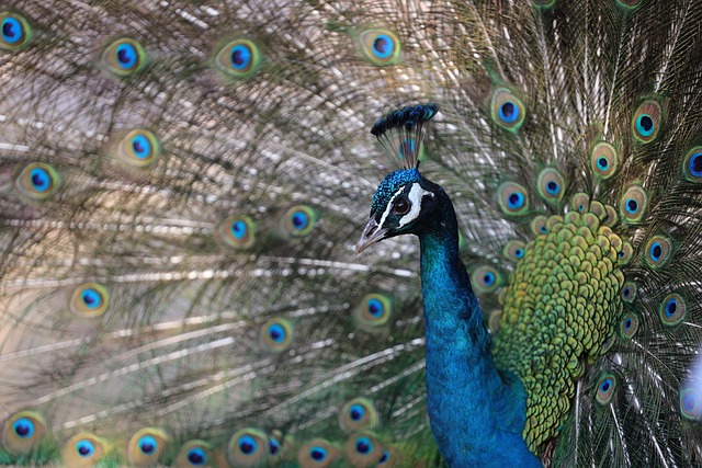 Hangzhou Travel Guide 2025: Top 10 Must-See Attractions Hangzhou Travel Guide 2025: Top 10 Must-See Attractions - Hangzhou 이미지 4