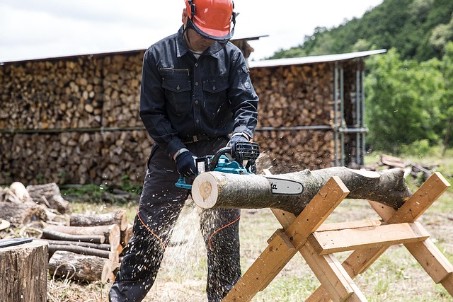 Milwaukee M18 Chainsaw Recall: Safety Alert and Model List - Some 이미지 1