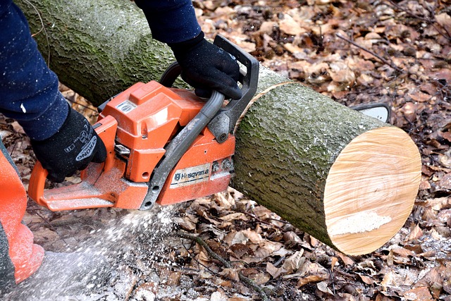 Milwaukee M18 Chainsaw Recall: Safety Alert and Model List - Some 이미지 2
