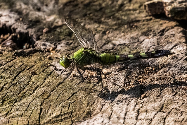 PENN Stock Analysis: $350M Buyback Plan & Gaming Industry Position 2025 - PENN 이미지 2