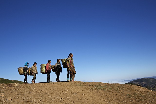 SFC Markets Finance| Cassandra Seier: We expect more Chinese companies to tap into the US markets SFC Markets Finance| Cassandra Seier: We expect more Chinese companies to tap into the US markets - SFC 이미지 1