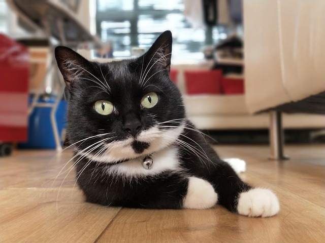 Verizon Layoffs Explained: Chairman Addresses 30% Market Share Decline Strategy Verizon Layoffs Explained: Chairman Addresses 30% Market Share Decline Strategy - Mark 이미지 1