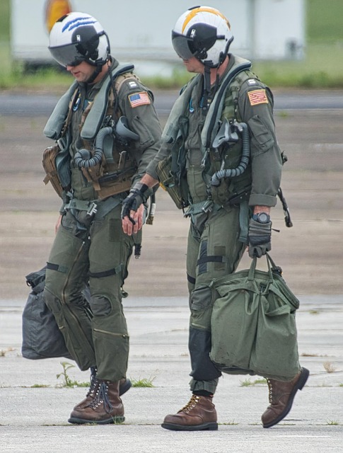 Complete Guide to The Pilot ᐸ/3 Complete Guide to The Pilot ᐸ/3 - The 이미지 2