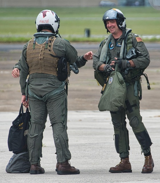 Complete Guide to The Pilot ᐸ/3 Complete Guide to The Pilot ᐸ/3 - The 이미지 3