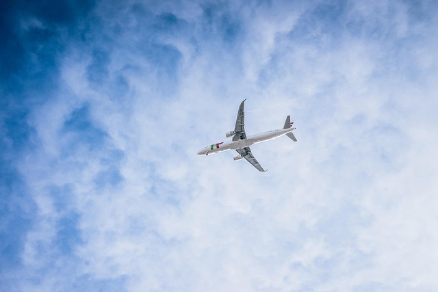 American Airlines & Spirit Airlines Flight Cancellations: What to Know - American 이미지 3