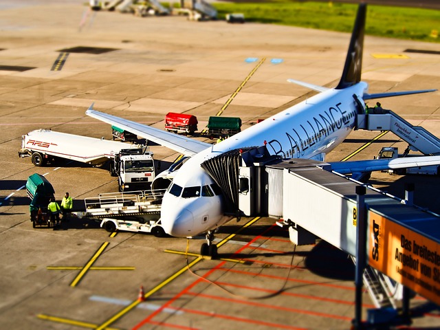 American Airlines & Spirit Airlines Flight Cancellations: What to Know - American 이미지 5