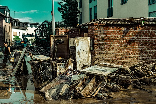 Flood Damage Restoration: Professional Cleanup Tips Guide Flood Damage Restoration: Professional Cleanup Tips Guide - Flood 이미지 5