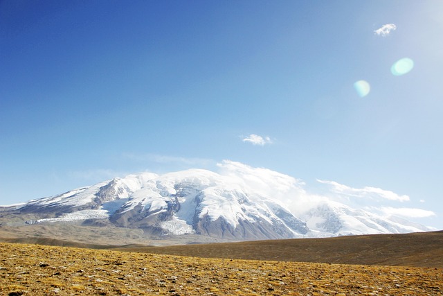 GasBuddy App Guide: How to Find Cheap Gas Prices (2025) - NEW 이미지 2