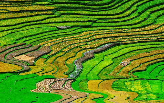 GasBuddy App Guide: How to Find Cheap Gas Prices (2025) - NEW 이미지 5