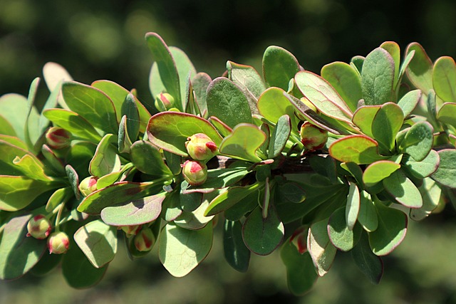 Jared Isaacman NASA Administrator Senate Vote Results - NOW 이미지 1