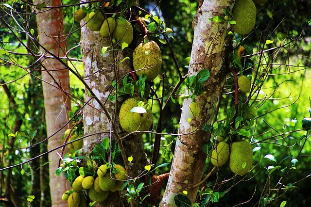 LIRR Penn Station Delays: Queens Broken Rail Update - Delays 이미지 2