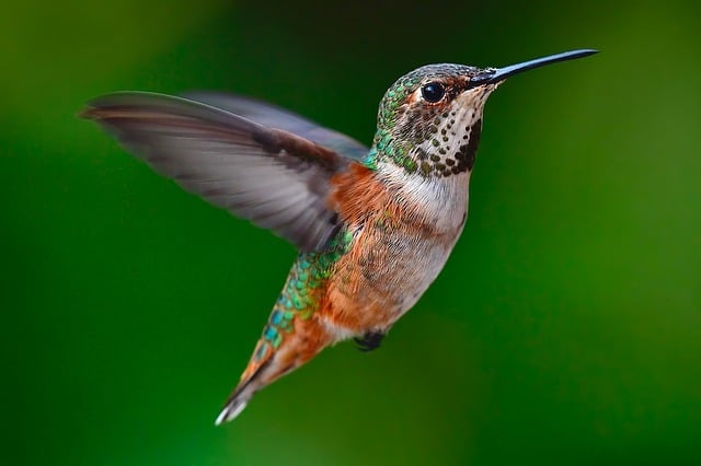 RKLB Stock Analysis: Why the Neutron Delay Is a Buying Opportunity RKLB Stock Analysis: Why the Neutron Delay Is a Buying Opportunity - RKLB 이미지 2