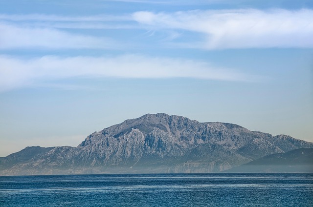 Trump Tariff Refund Checks: When Will Americans Get Paid? - Trump 이미지 3