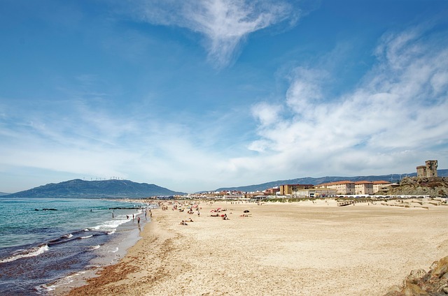 Trump Tariff Refund Checks: When Will Americans Get Paid? - Trump 이미지 4